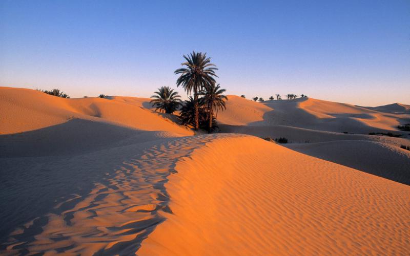 Excursion 2 Jours : Le Sud Tunisien & Désert